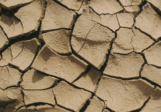 Trockene, rissige Erde als Symbol für feuchtigkeitsarme Haut im Winter